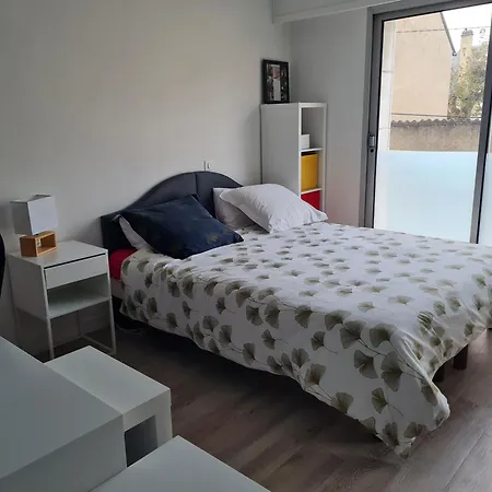 Appartement 24h Du Mans - Hyper Centre - Lumineux 180 M2 - 4 - 2 Sdb Le Mans